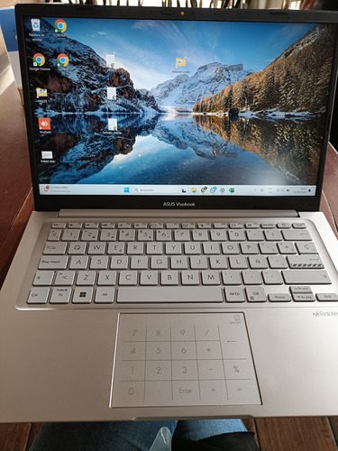 Portátil Asus Vivobook 14core I7 8gb 512ss Uso 8 Meses (Usado)