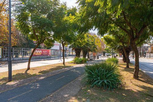 Casa En Venta 3 Dormitorios Cura Oroño Hospitales