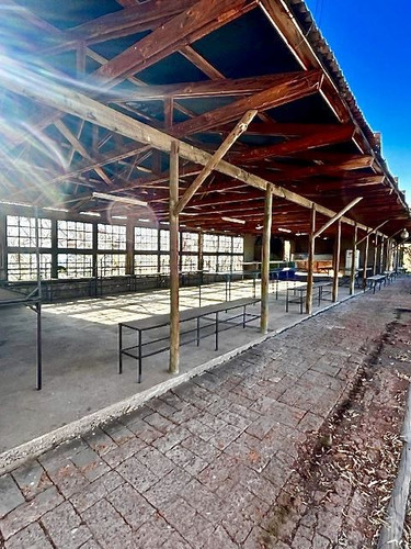 Parcela En Venta En Curimon, San Felipe