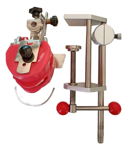 Fantoma Dental Maniquí Con Tipodento Práctica Odontología