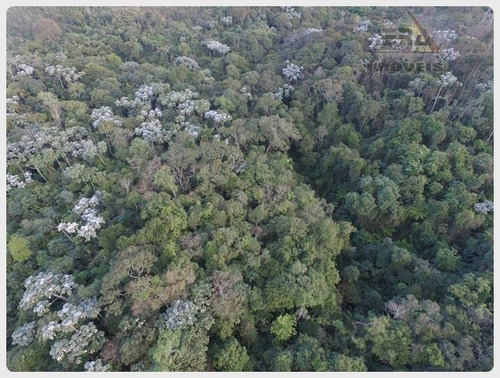 Imagem 4 de 13 de Área Industrial À Venda, Portão, Arujá - Ar0018. - Ar0018