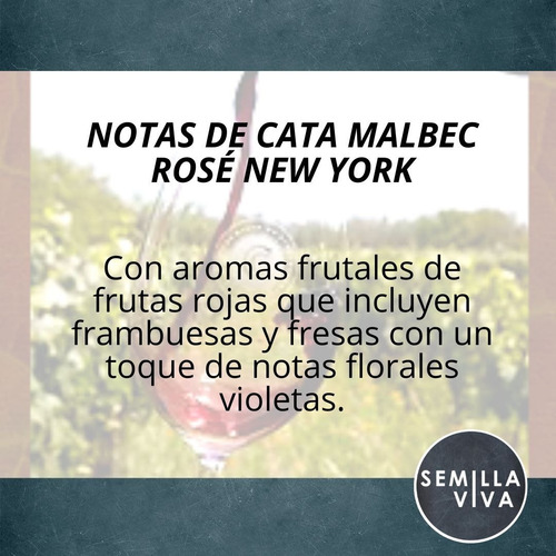 Imagen 2 de 10 de Vino Orgánico Rose Malbec Familia Cecchin X 750ml - New York