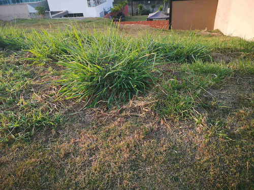 Imagem 27 de 27 de Lote 250mts Terras De Genova, Engordadouro Pronto Para Construir, Fácil Caeso A Rodovia Anhanguera, Olivia Imoveis - Lote250gen - 69021066
