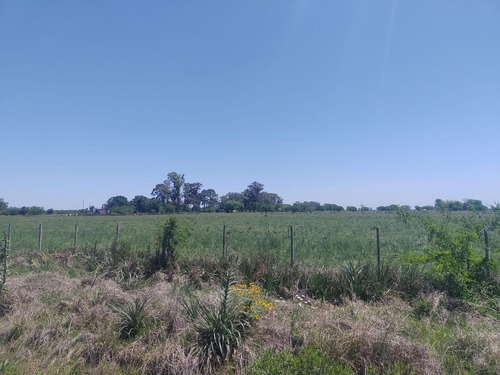 Imagen 1 de 3 de Chacra - Gualeguay