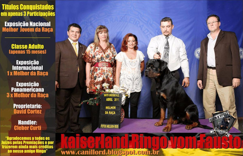 Filhotes De Rottweiler - Linhagem De Campeões