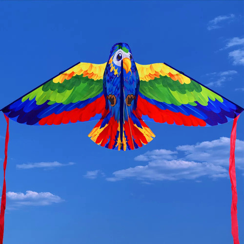 Ha Cometa Con Forma De Loro 3d Para Divertirse En La Playa