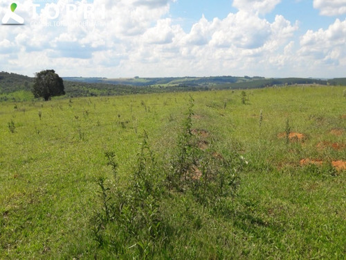 Imagem 3 de 16 de Fazenda À Venda Na Região De Garça - Fa00175 - 69382428