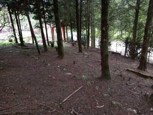 Imagem 6 de 15 de Sítio / Chácara Para Venda Em São José Dos Pinhais, Área Rural De São José Dos Pinhais, 2 Dormitórios, 1 Banheiro - 108_2-1240645