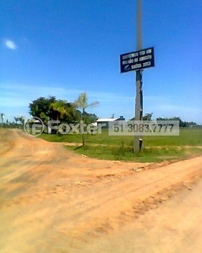 Imagem 3 de 12 de Terreno, 66000 M², Harmonia - 173430