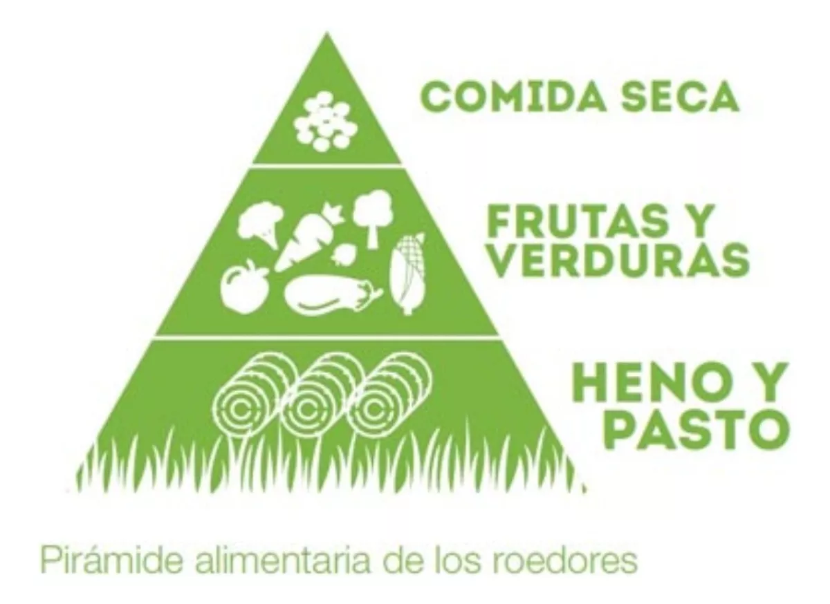 Tercera imagen para búsqueda de comida hamster