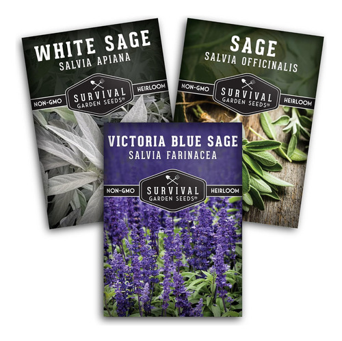 Sage Collection - Bóveda De Semillas De Salvia Blanca (salvi