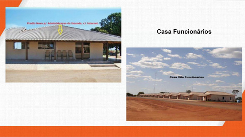 Imagem 27 de 30 de Fazenda 2444 Alqueires, Boa De Água Com Represas E Rio, Fábrica De Ração, 29 Pivôs, Área De Pastagem, Colônia, Casa Sede 600m2, Galpões,pista De Pouso - Fa00102 - 70229637