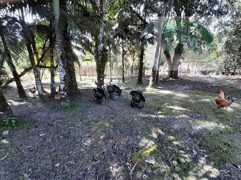 Imagem 9 de 15 de More Ou Invista Em Qualidade De Vida! E Veja O Sol Nascer! - 116