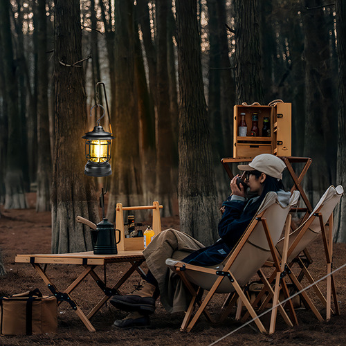 Lámpara Led Retro Para Campamento, Exteriores Color Army