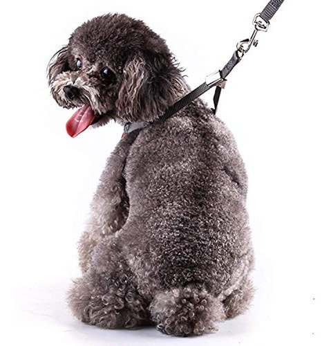 Conjunto De Arnés Y Correa Para Perros Pequeños Rypet Arnés Conjunto De Arnés Y Correa Para Perros Pequeños Rypet Arnés