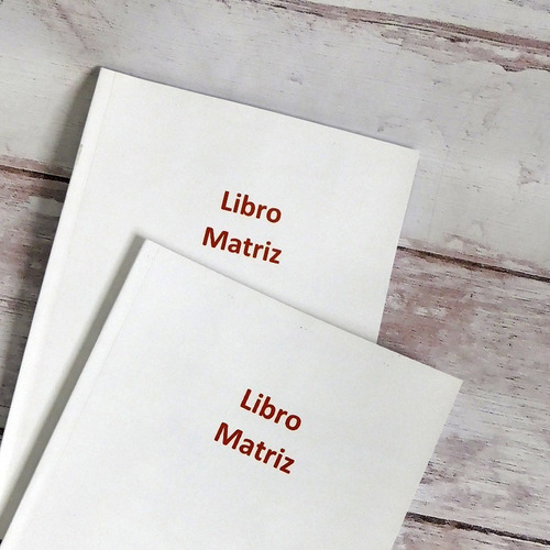 Libro Matriz 