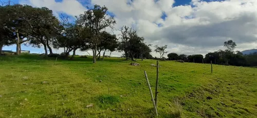 Lote En Venta En La Calera. Cod V14689