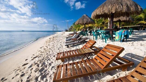 Imagen 6 de 8 de Terreno En Venta En Cozumel, Quintana Roo. Ctv75.