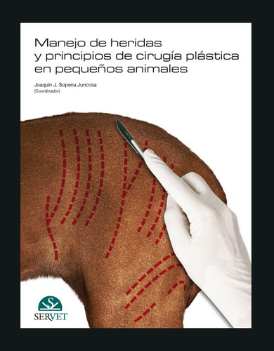 Manejo Heridas Y Principios Cirugia Plastica Pequeã¿os An...