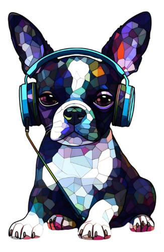 Libro: Boston Terrier: Notebook