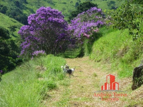 Imagem 1 de 30 de Sítio Sítio À Venda Em Taubaté/sp - 1386