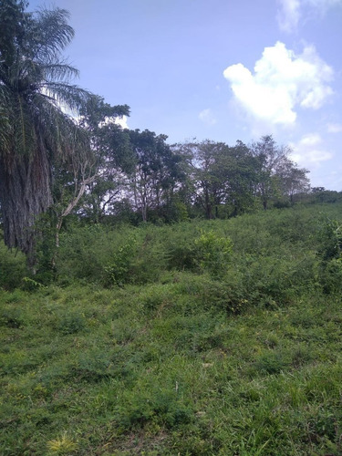 Imagen 14 de 17 de Venta 199 Hectáreas - Para Cultivo Y Ganado