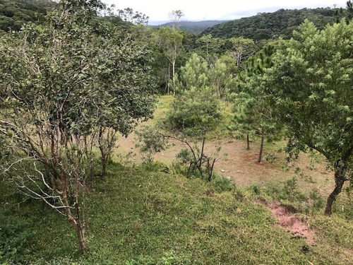 Imagem 7 de 21 de Rural Para Venda, 0 Dormitórios, Dos Pereiras (caucaia Do Alto) - Cotia - 2886