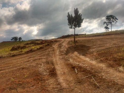 Imagem 9 de 13 de 1. 000m² Saindo A Vista R$120mil Já Podendo Construir, Frent