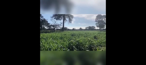 Imagem 29 de 30 de Fazenda 3366 Hectares, 5 Poços Artesianos, 4 Reservatórios De Agua, 42 Bebedouros De 12mil Litros, 80 Casinhas De Cocho Cobertas, 2 Corredores Centrai - Fa00043 - 69928786