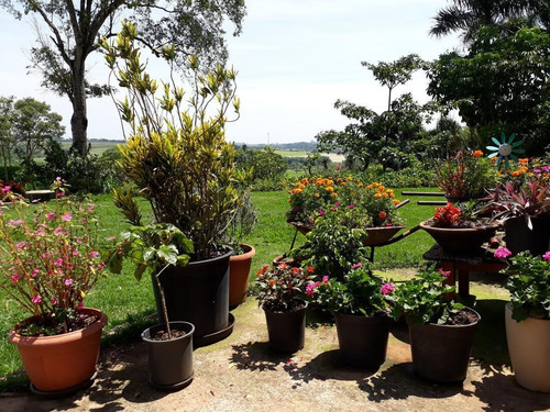 Pousada À Venda, 10000 M² Por R$ 6.360.000,00 - Area Rural - Holambra/sp - Po0001