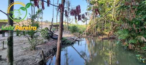 Imagem 3 de 15 de Fazenda À Venda Em Pacajá - Pa - 968 Hectares (pecuária) - 1996