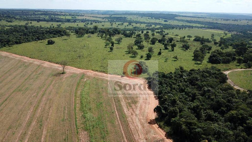 Imagem 15 de 20 de Fazenda À Venda, 4400000 M² Por R$ 22.000.000,00 - Zona Rural - Prata/mg - Fa0109
