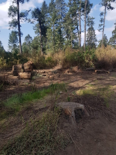 Imagen 11 de 15 de Venta De Terreno En Salazar La Marquesa Estado De Mexico