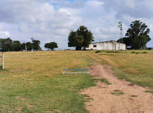 Rocha Venta O Renta Muy Buen Campo 912 Hectareas