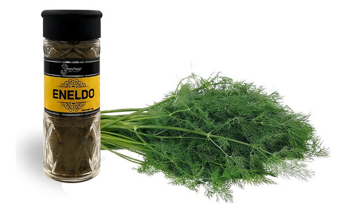 Pontino Eneldo Entero 20g