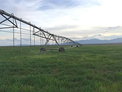Rancho en venta