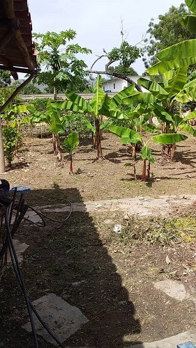 Imagen 7 de 9 de Asein420 Vende Excelente Terreno En Yagua Sector El Cabrito