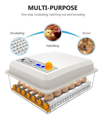 Imagen 9 de 10 de Incubadora De 36 Huevos Automatica 220v Multiproposito