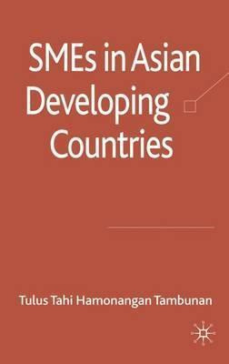 Libro Smes In Asian Developing Countries - Tulus Tahi Ham...