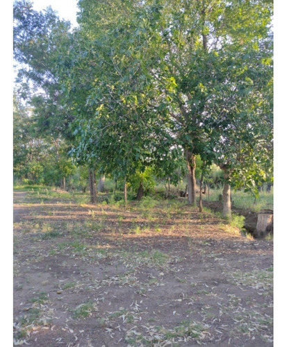 Vendo Finca Viñedos San Rafael Las Paredes