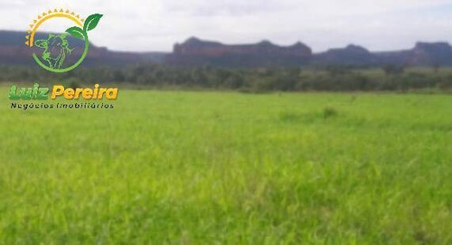 Imagem 2 de 9 de Fazenda À Venda Em Recursolândia -t0 - 3998 Hectares (dupla Aaptidão) - 1592