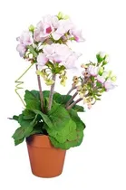 Comprar Flores Artificiales Begonia (con Maceta) Flores Y Adornos