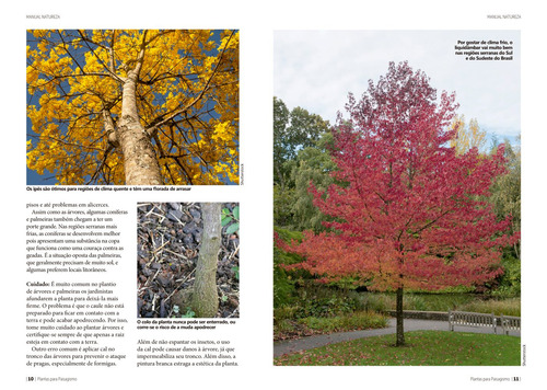 Manual Natureza - Volume 2: Plantas para Paisagismo, de Editora Europa. Editorial Editora Europa, capa mole em português, 2022