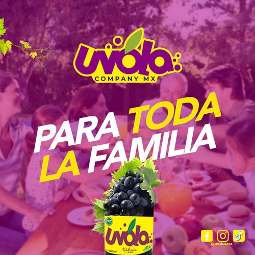 Uvola Refresco Sabor Uva Y Limon 500ml (12 Botellas)