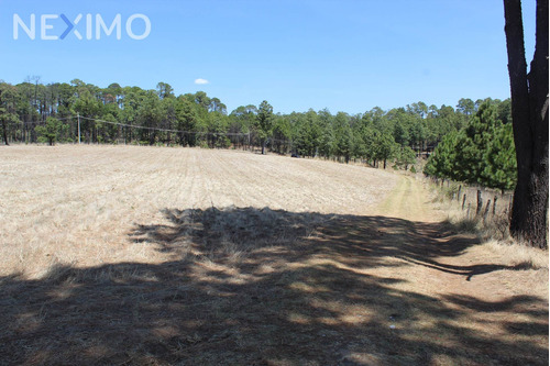 Imagen 4 de 6 de Venta Terreno 0 Ambiente Monte De Peña