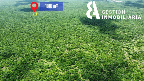 Terreno De Inversión En Venta En Komchen, Yucatán. Ctv233