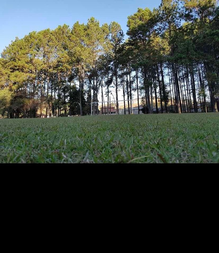 Imagem 7 de 12 de Terreno No Clube Uva :rodovia Andradas/poços De Caldas