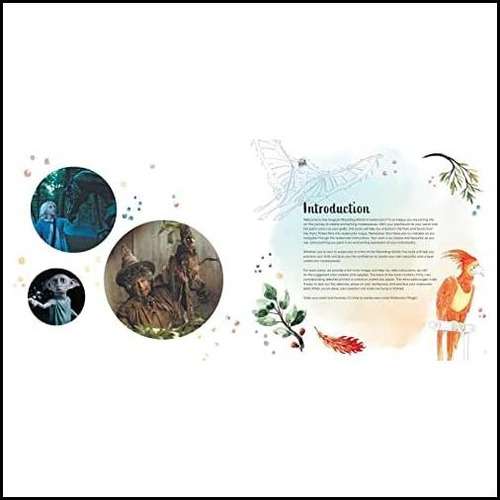 Harry Potter: Magia De La Acuarela: Flora Y Fauna