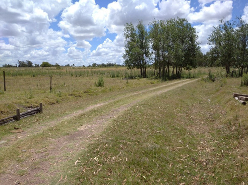 Chacra De 13 Hectáreas Con Casa Y Cañada