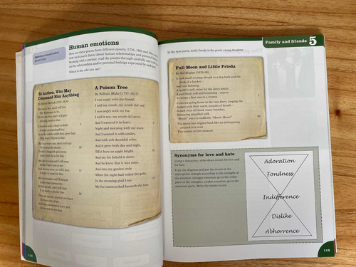 Complete First Language English For Cambridge Igcse + Cd (Usado)